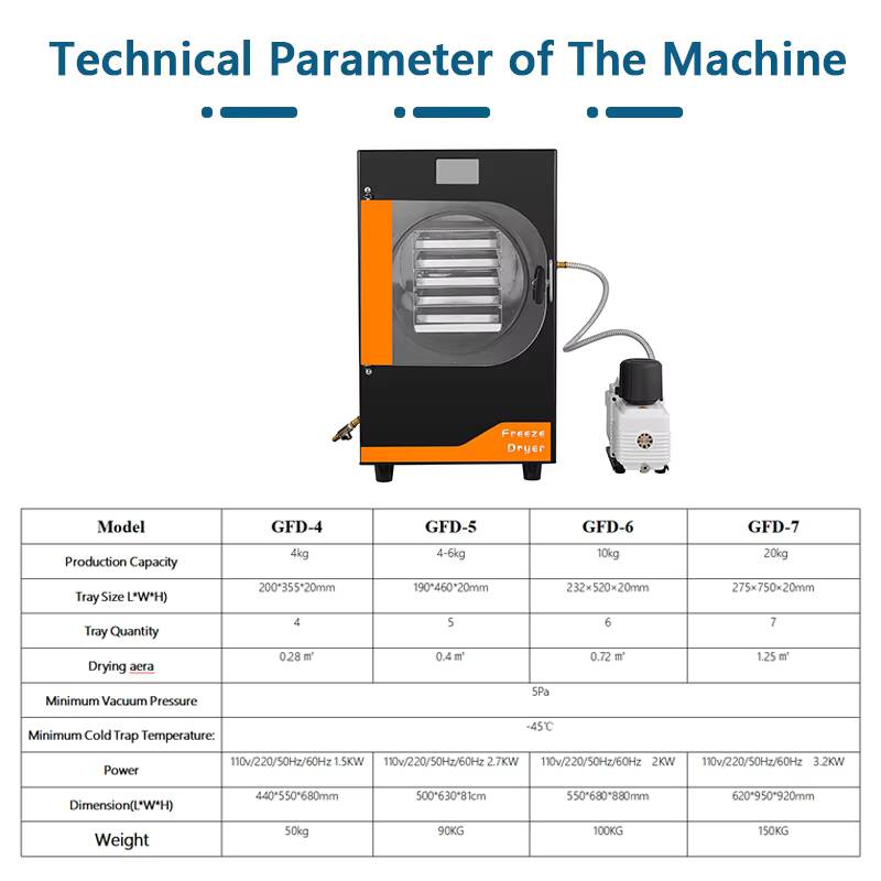 20Kg Automatic Gear Freeze Mac - Snacks Food In Us 리뷰 및 가격