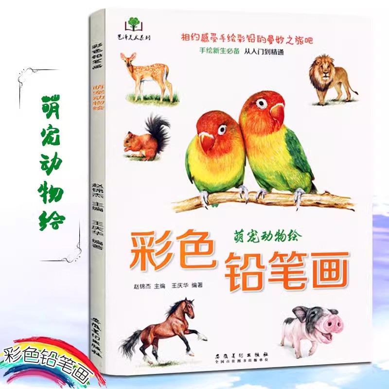 Color Pencil Flowers, Food, Fr - Food And Snacks Coloring Book Bold And Easy 리뷰 및 가격
